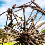 Pack 5 botelles d’oli d’oliva verge extra